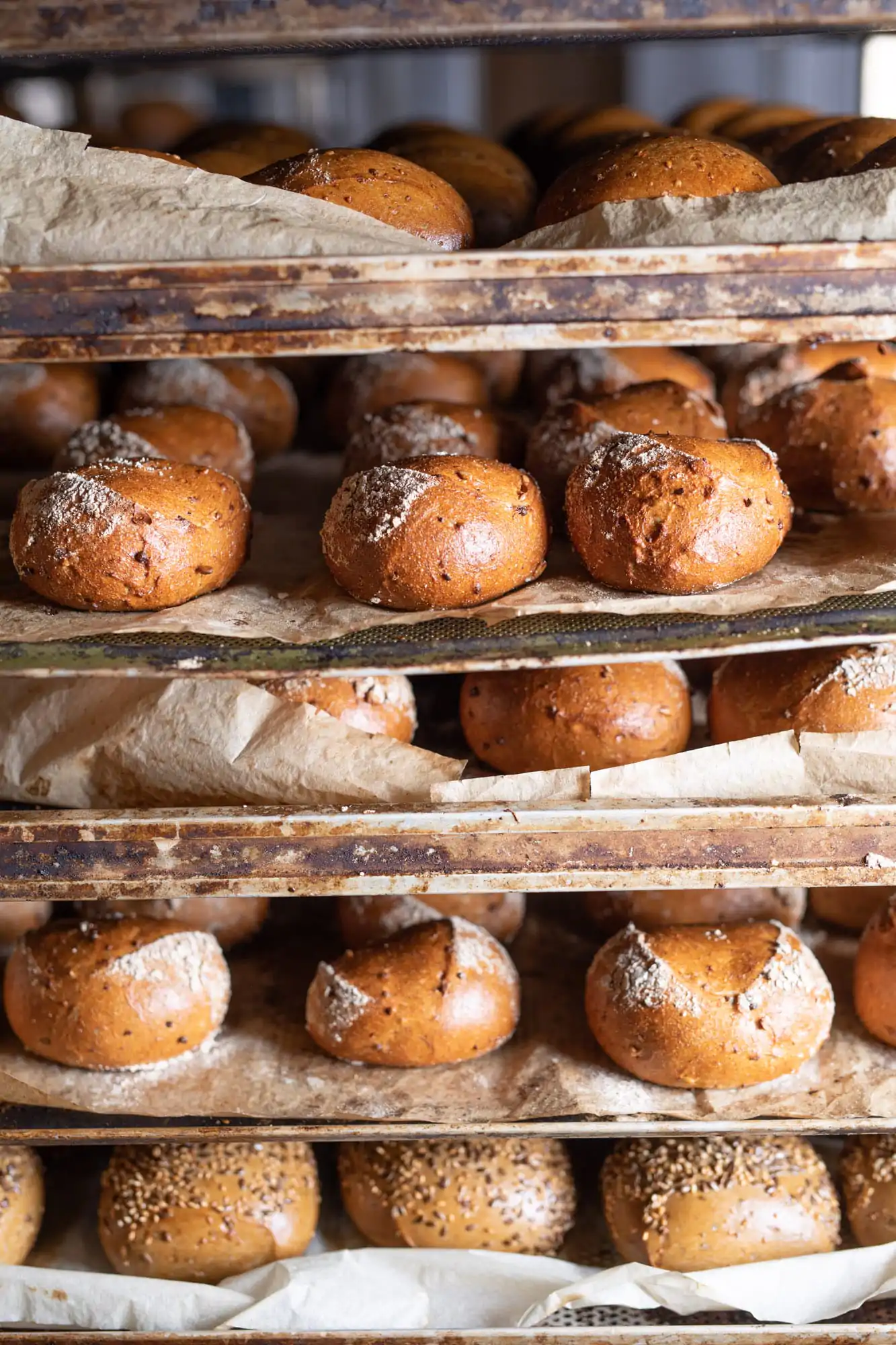 bakery, Bäckerei, bread, hand, handwork, handcraft